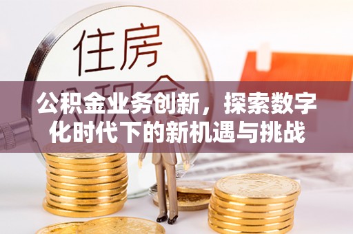 桃城公积金业务创新，探索数字化时代下的新机遇与挑战