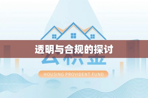 桃城透明与合规的探讨