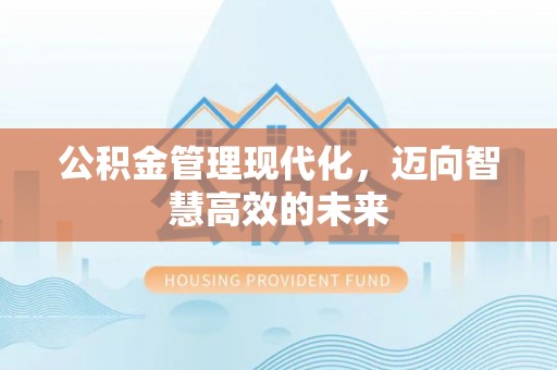 桃城公积金管理现代化，迈向智慧高效的未来