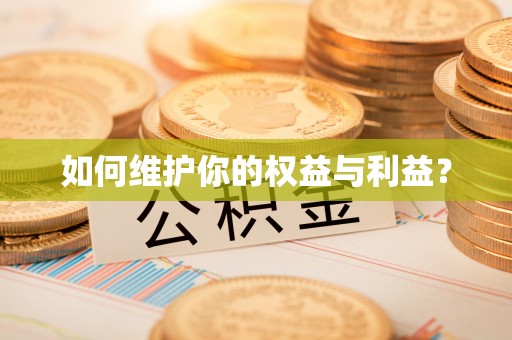 桃城如何维护你的权益与利益？